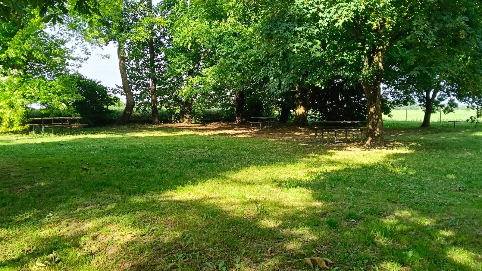 Prato e alberi dell'area laghi